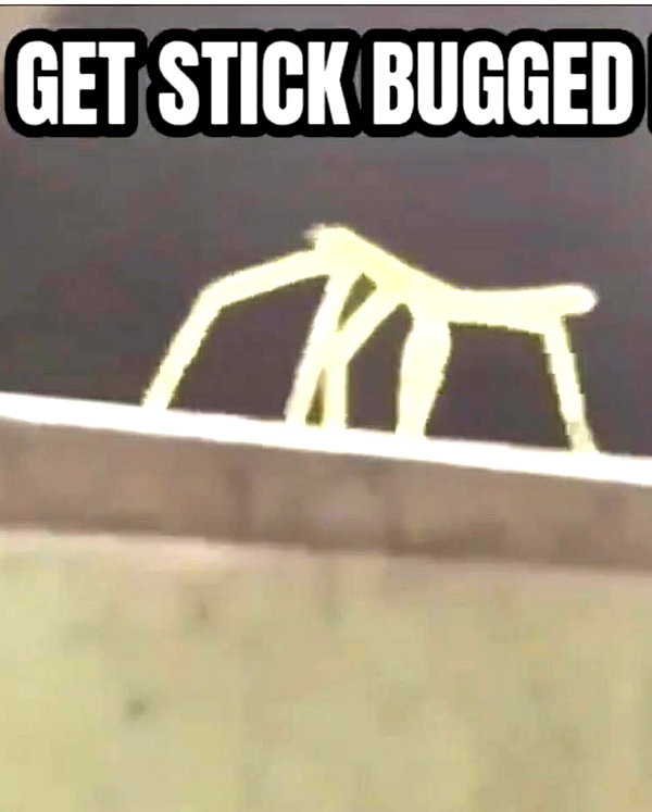 meowriexists instagram image archive image