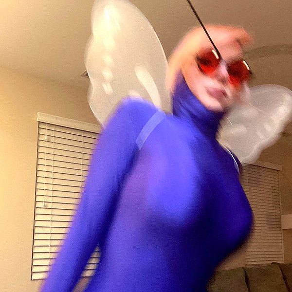 meowriexists instagram image archive image