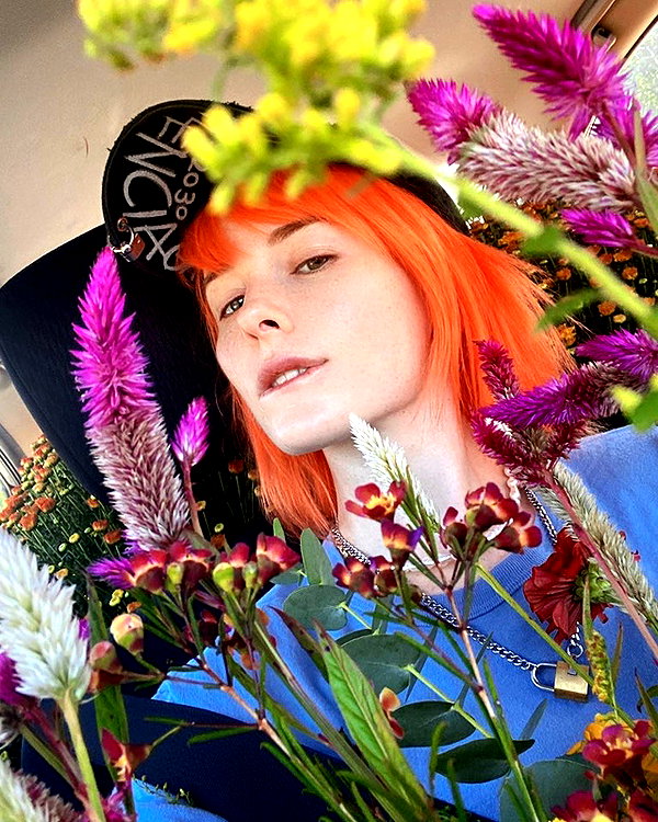 meowriexists instagram image archive image