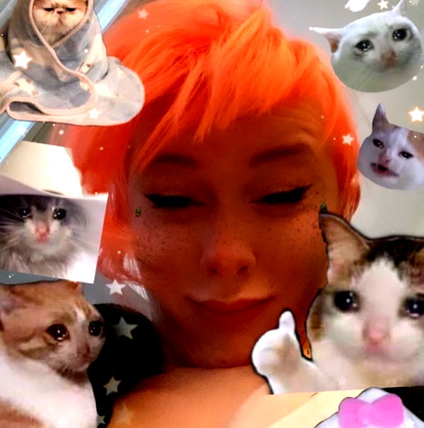 meowriexists instagram image archive image