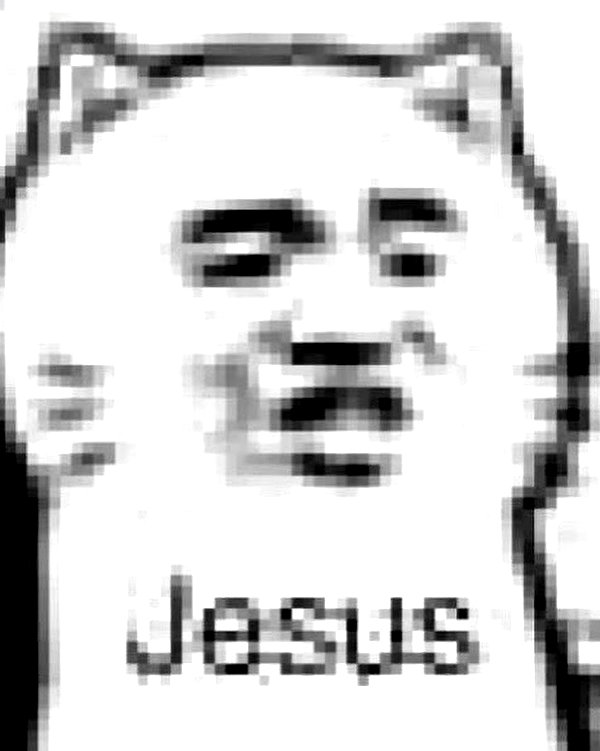 meowriexists instagram image archive image