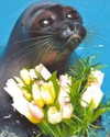 meowriexists Altpins Profile Picture