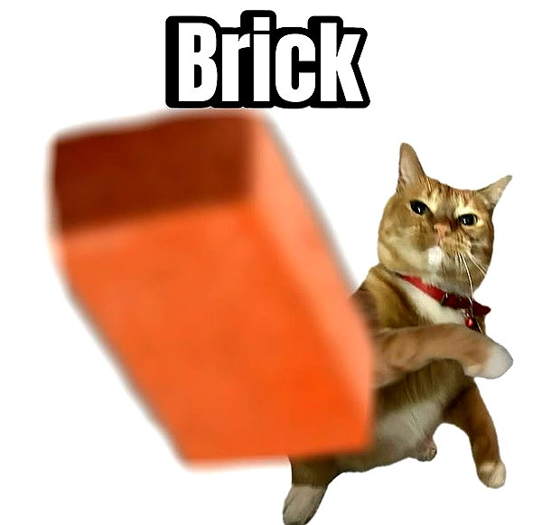 meowriexists instagram image archive image