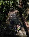 merveystar Altpins Profile Picture