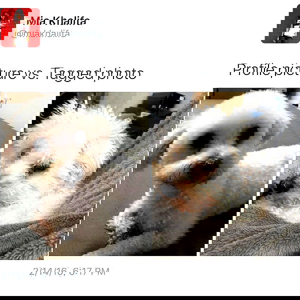 miakhalifa miakhalifa archive image