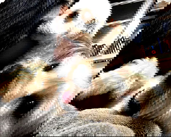 miakhalifa miakhalifa archive image