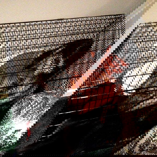 miakhalifa miakhalifa archive image