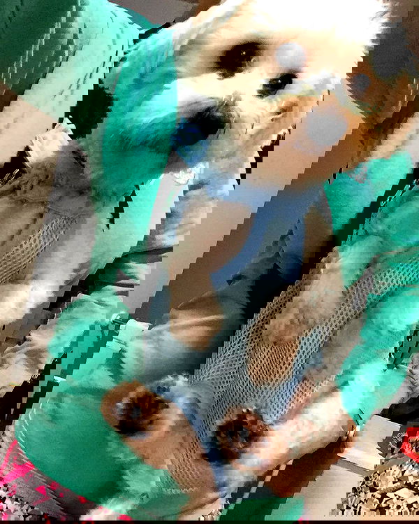 miakhalifa miakhalifa archive image