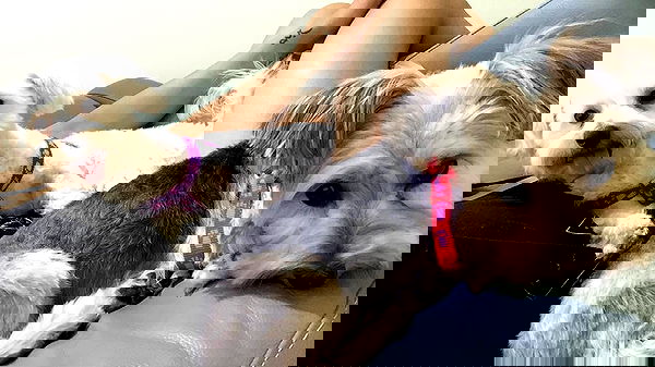 miakhalifa miakhalifa archive image