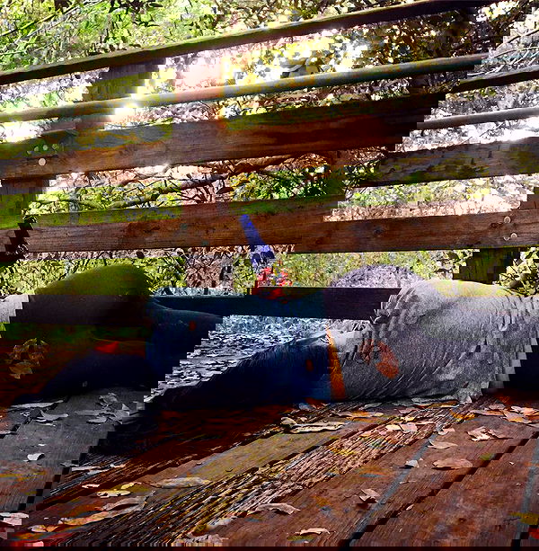 miakhalifa miakhalifa archive image