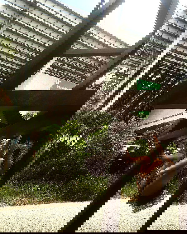 miakhalifa miakhalifa archive image