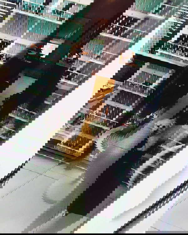 miakhalifa miakhalifa archive image