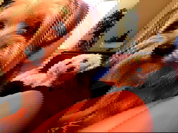 miakhalifa miakhalifa archive image