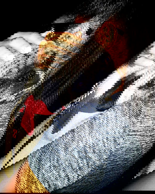 miakhalifa miakhalifa archive image