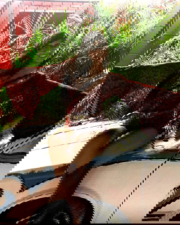 miakhalifa miakhalifa archive image