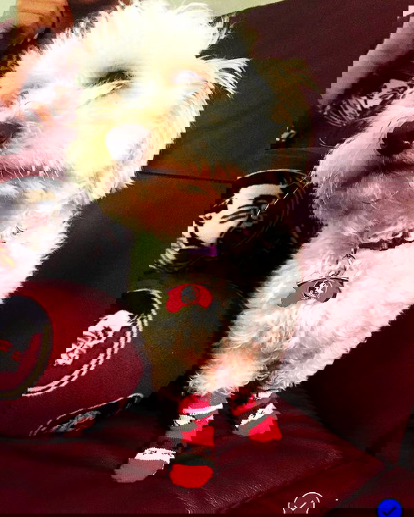 miakhalifa miakhalifa archive image