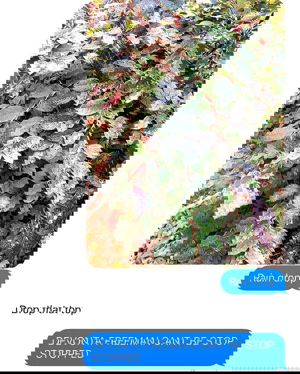 miakhalifa miakhalifa archive image