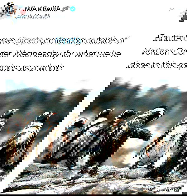 miakhalifa miakhalifa archive image