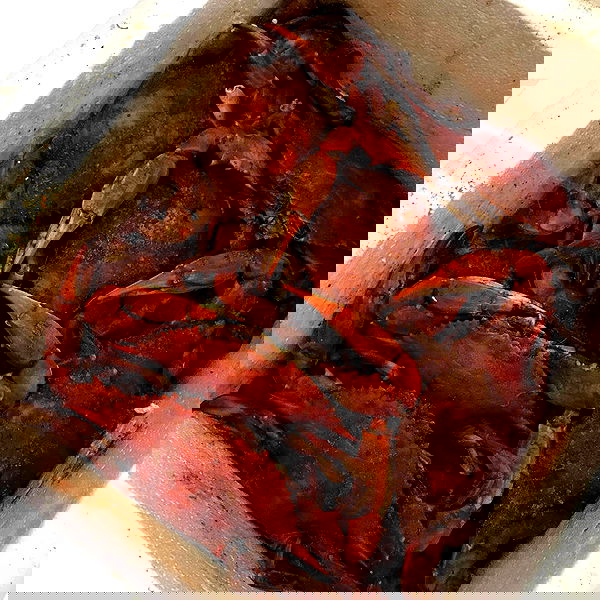 miakhalifa miakhalifa archive image