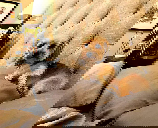 miakhalifa miakhalifa archive image