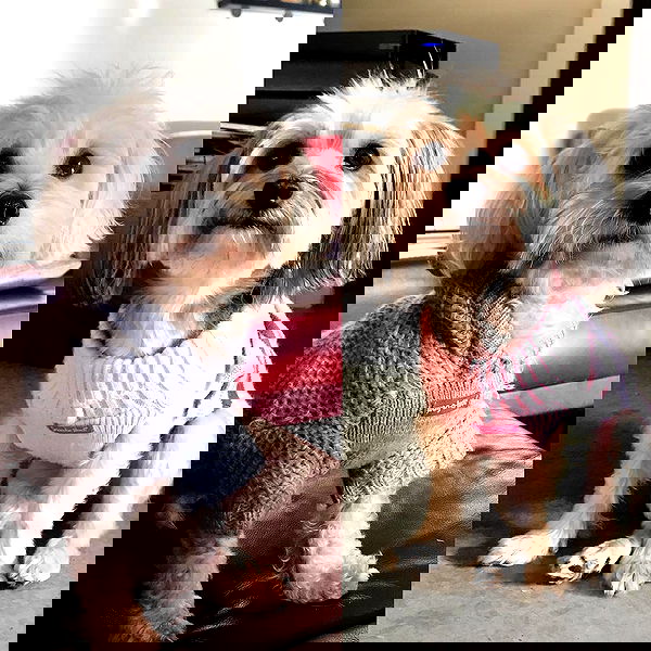 miakhalifa miakhalifa archive image