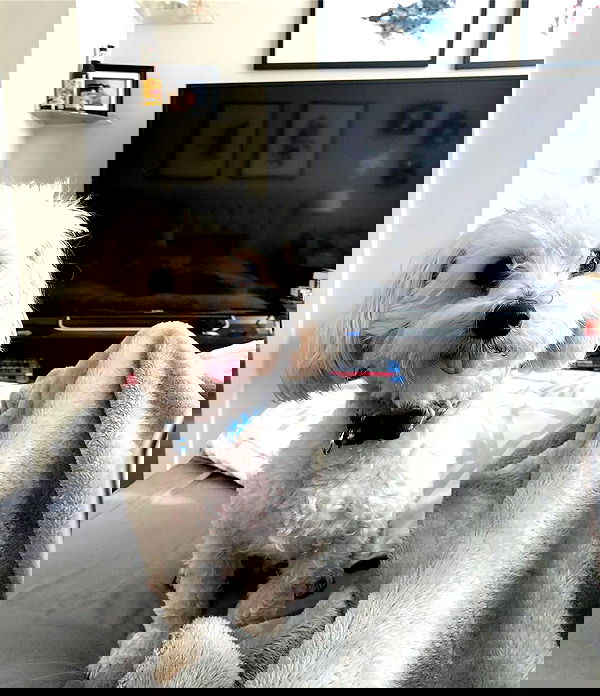 miakhalifa miakhalifa archive image