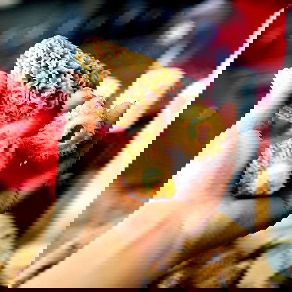 miakhalifa miakhalifa archive image