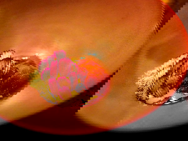 miakhalifa miakhalifa archive image