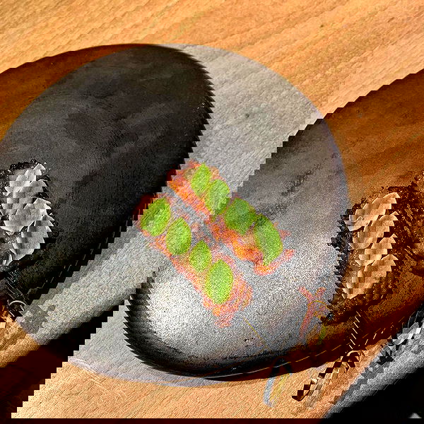 miakhalifa miakhalifa archive image