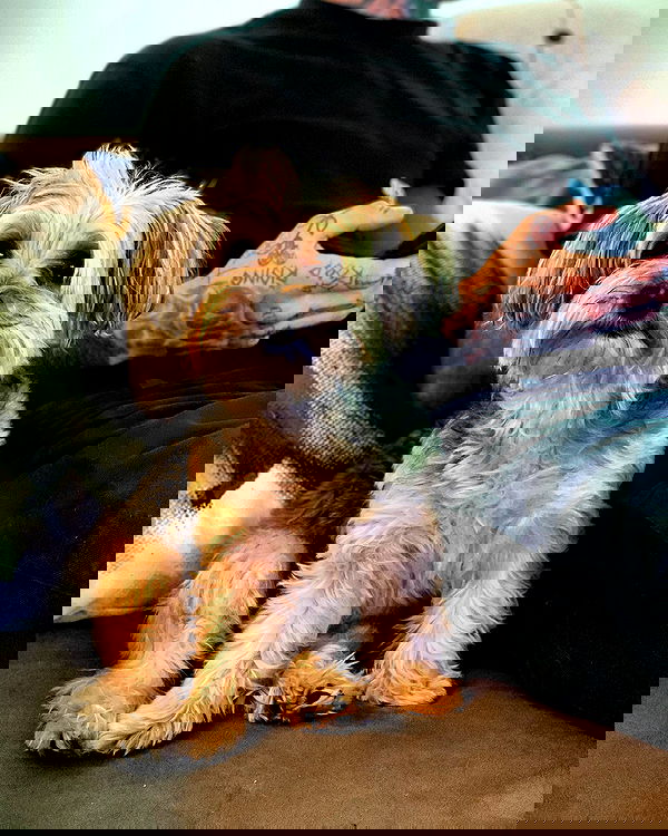 miakhalifa miakhalifa archive image