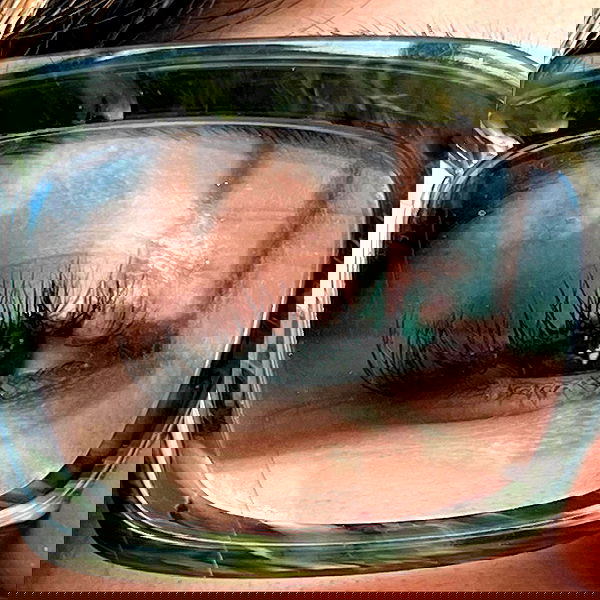 miakhalifa miakhalifa archive image