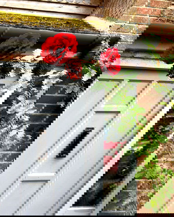 miakhalifa miakhalifa archive image