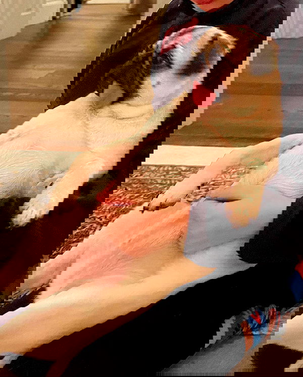 miakhalifa miakhalifa archive image