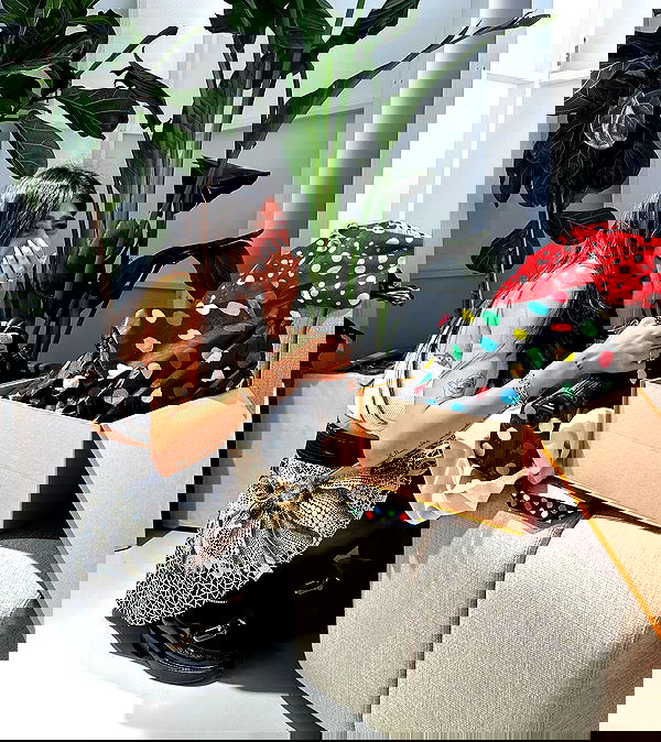 miakhalifa miakhalifa archive image