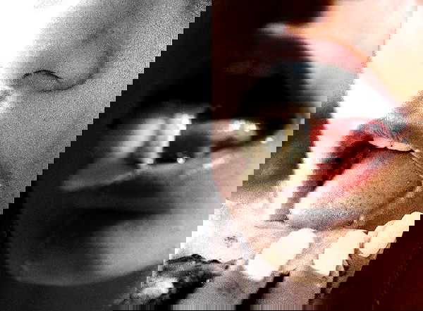 miakhalifa miakhalifa archive image