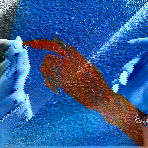 miakhalifa miakhalifa archive image