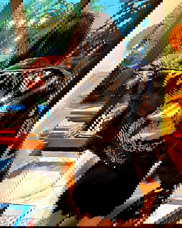 miakhalifa miakhalifa archive image