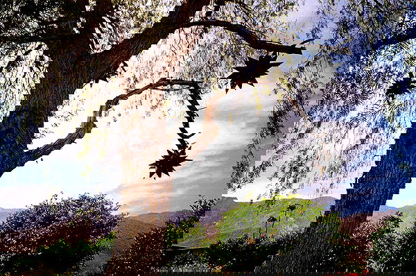 miakhalifa miakhalifa archive image