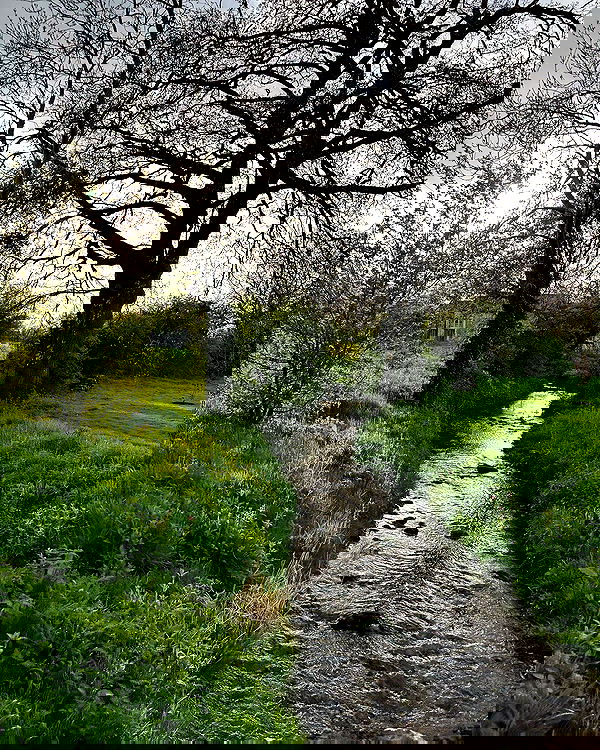 miakhalifa miakhalifa archive image