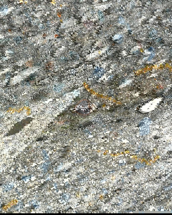 miakhalifa miakhalifa archive image