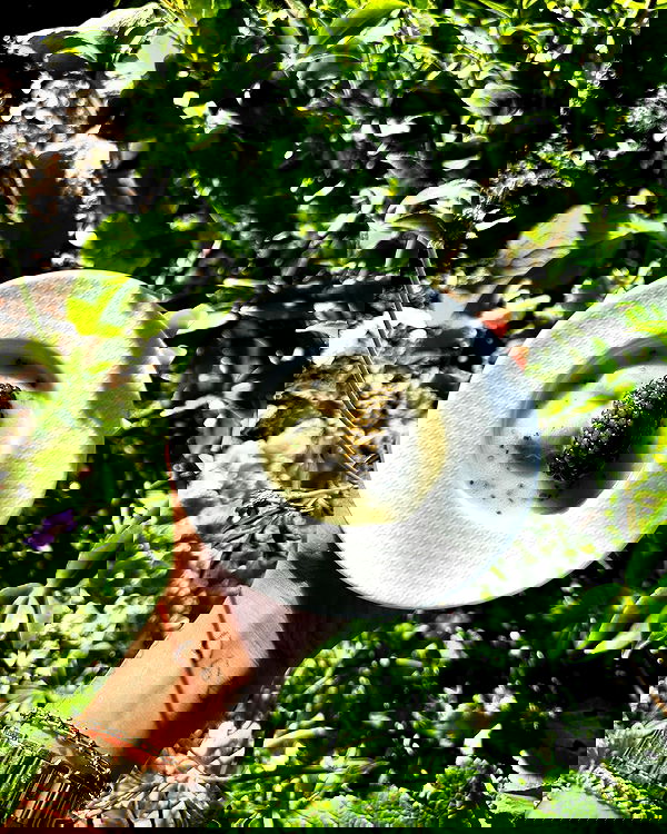 miakhalifa miakhalifa archive image