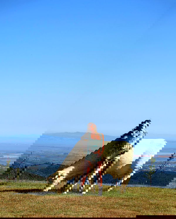 miakhalifa miakhalifa archive image