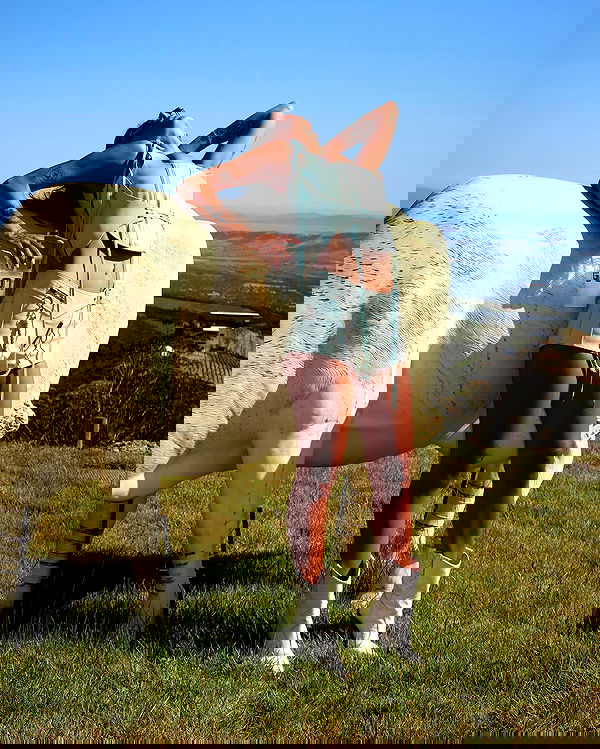 miakhalifa miakhalifa archive image