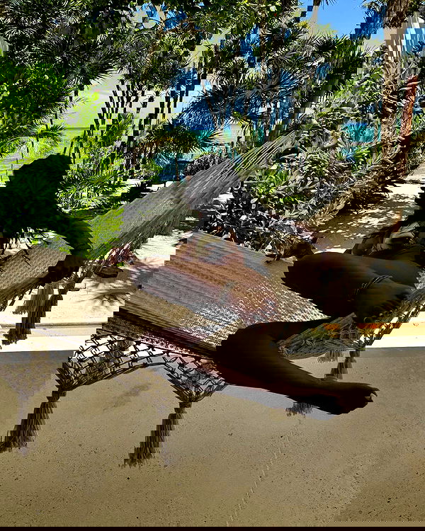 miakhalifa miakhalifa archive image