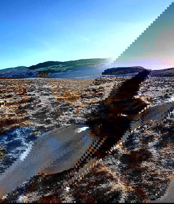 miakhalifa miakhalifa archive image