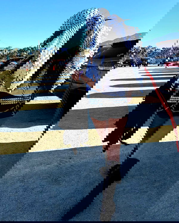 miakhalifa miakhalifa archive image