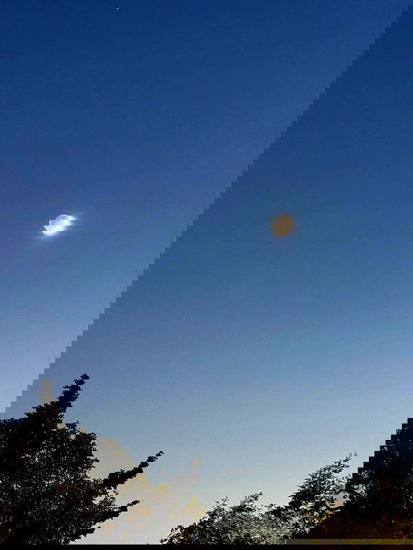 miakhalifa miakhalifa archive image