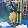 miao_149 Altpins Profile Picture