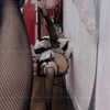 miao_149 Altpins Profile Picture