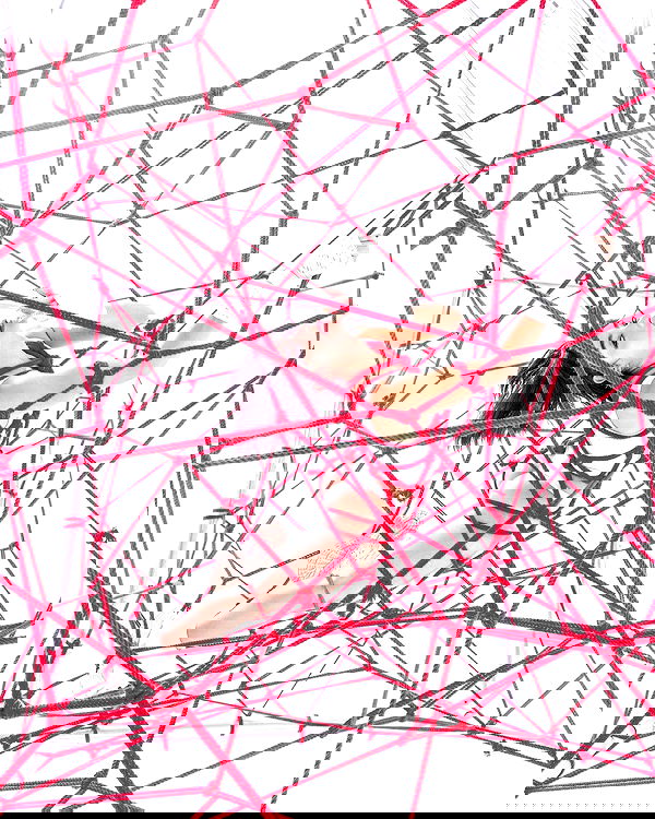 miav.me image ~ Altpins